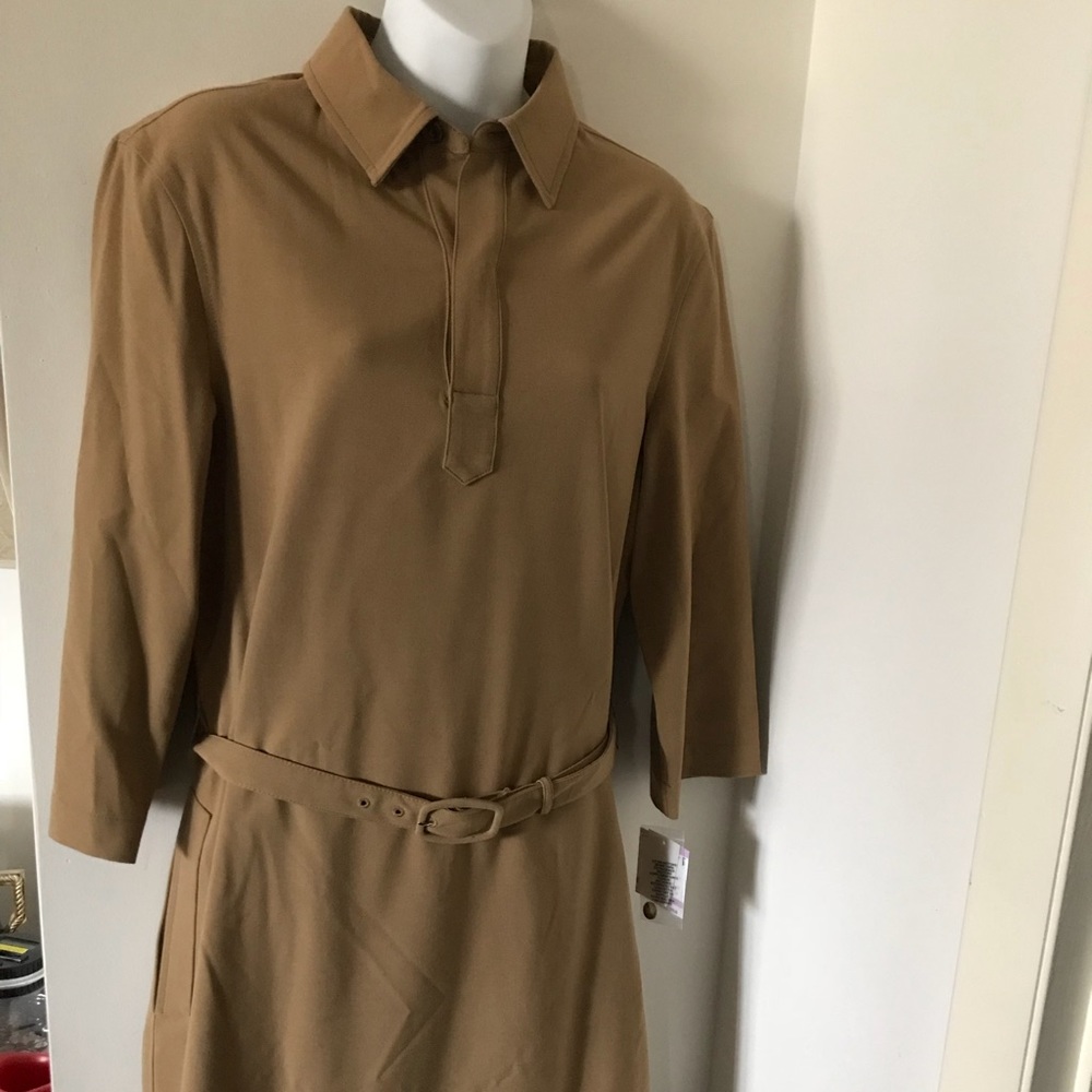 Tan Anne Klein Dress.